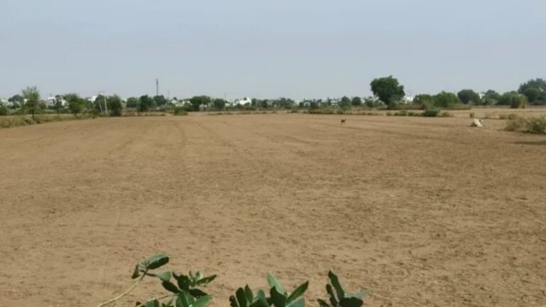 हरियाणा में बदलने लगा मौसम रेवाड़ी में पारा 15 डिग्री पर पहुंचा नवंबर में बढ़ेगी सर्दी